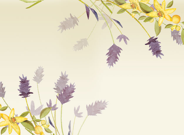 beginning... the journey of life